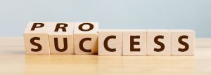 Maintaining Standards! sixt.com 10 business keys to success pro success